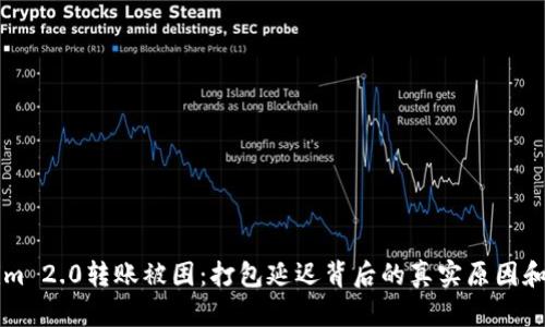 当Tokenim 2.0转账被困：打包延迟背后的真实原因和解决方案