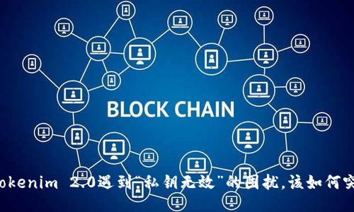 当Tokenim 2.0遇到“私钥无效”的困扰，该如何突破？
