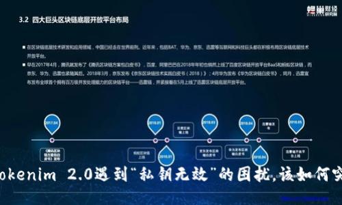 当Tokenim 2.0遇到“私钥无效”的困扰，该如何突破？