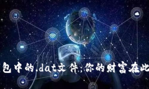 解密比特币钱包中的.dat文件：你的财富在此，你敢挑战吗？