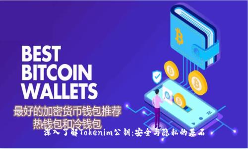深入了解Tokenim公钥：安全与隐私的基石