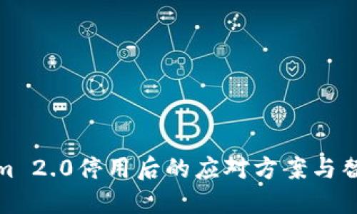 Tokenim 2.0停用后的应对方案与替代策略