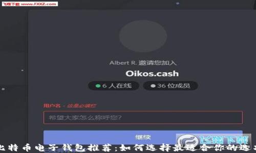 
比特币电子钱包推荐：如何选择最适合你的选项