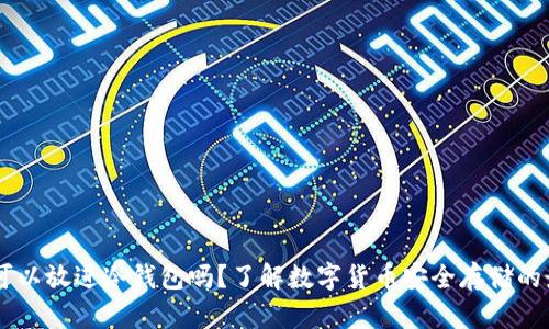 : USDT可以放进冷钱包吗？了解数字货币安全存储的最佳实践
