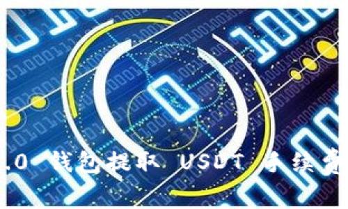 Tokenim 2.0 钱包提取 USDT 手续费解析与方案