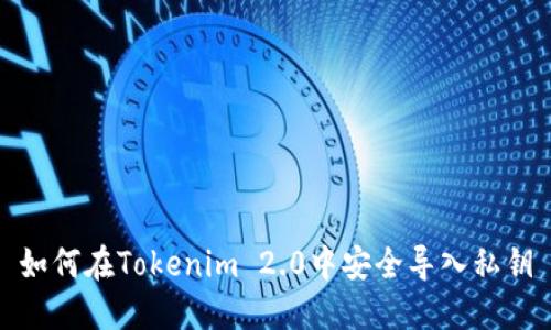 如何在Tokenim 2.0中安全导入私钥