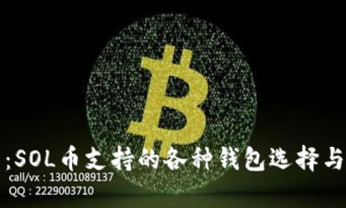 全面分析：SOL币支持的各种钱包选择与使用指南